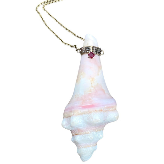 CARIBBEAN DIAMOND SHELL